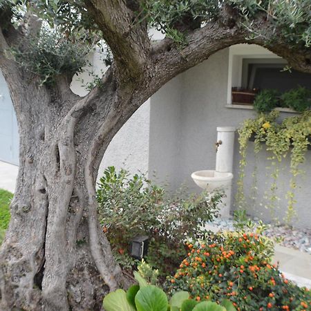 Ca' Olivo Villa Mogliano Veneto Ngoại thất bức ảnh