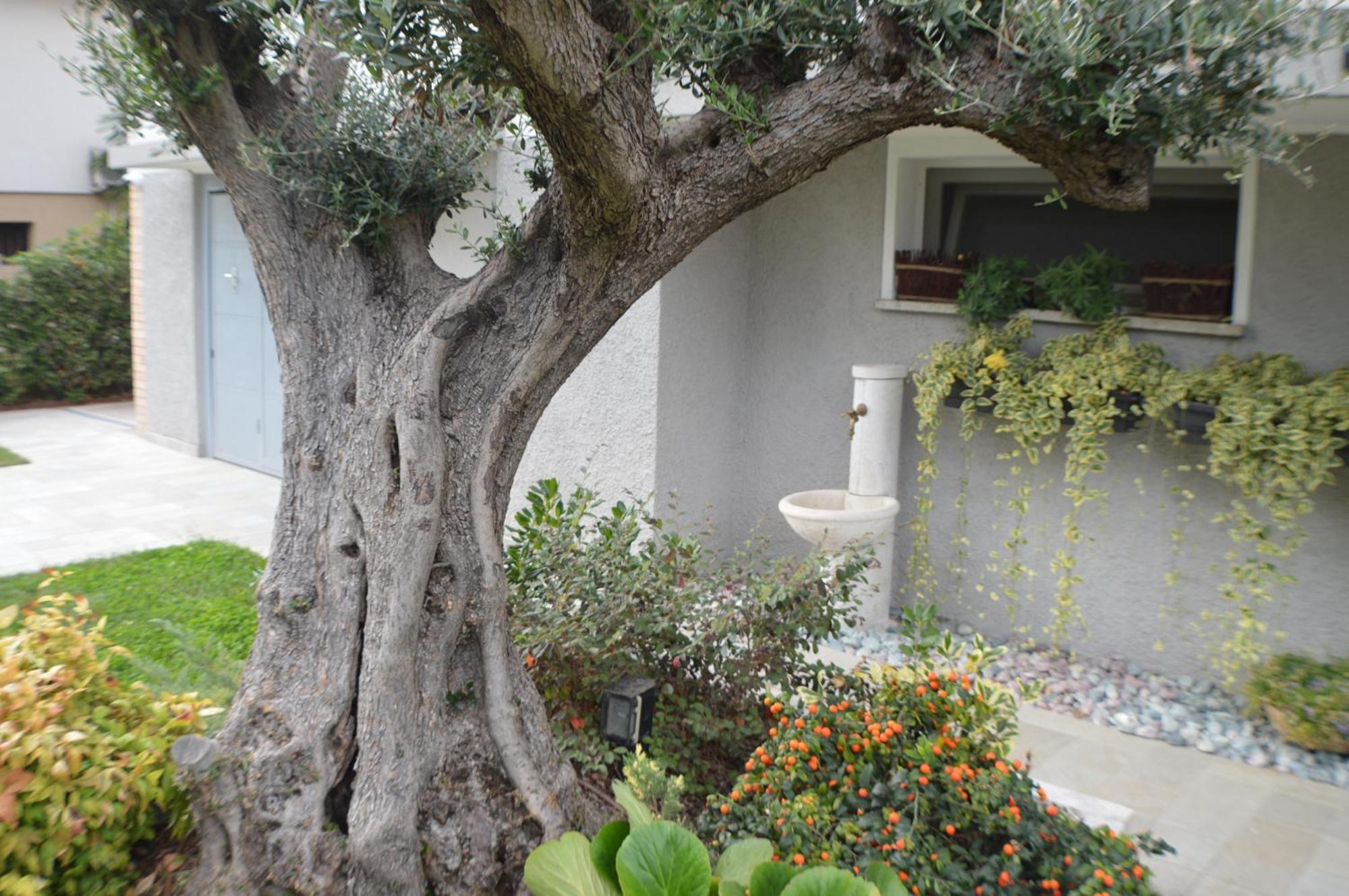 Ca' Olivo Villa Mogliano Veneto Ngoại thất bức ảnh