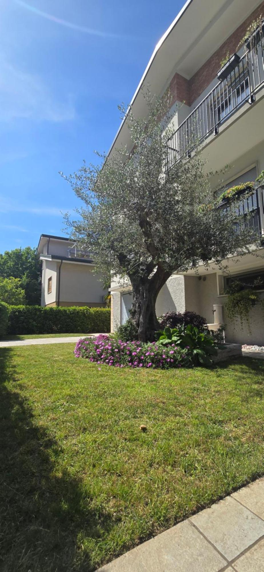 Ca' Olivo Villa Mogliano Veneto Ngoại thất bức ảnh